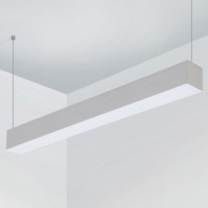 פרופיל P50 אוסרם