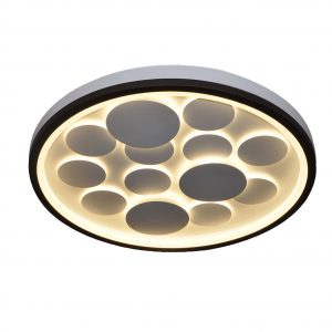 טרופיקנה עגולה גדולה