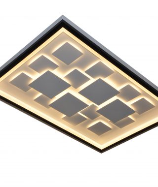 טרופיקנה גדולה