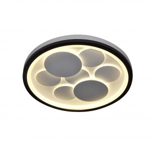 טרופיקנה עגולה קטנה