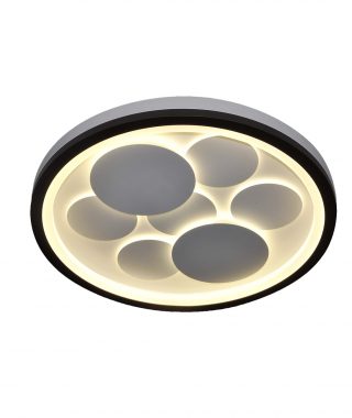 טרופיקנה עגולה קטנה